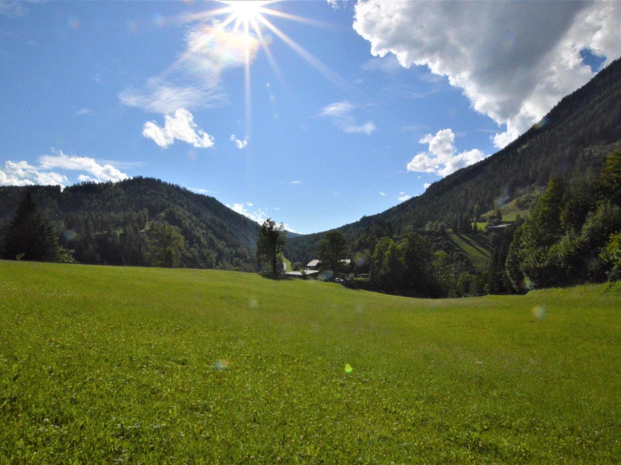 Bienenheim * Schladming